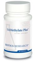 SAMethylate Plus™