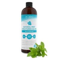 Natural Mint Mouthrinse