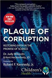 Plague of Corruption by Judy Mikovits and Kent Heckenlively