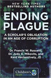 Ending Plague by Judy Mikovits and Kent Heckenlively